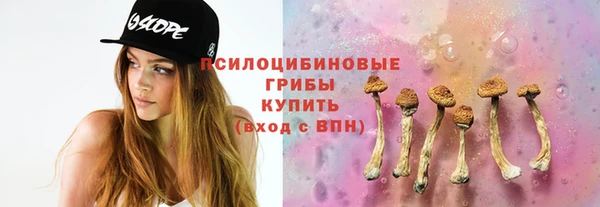 ешки Дмитров