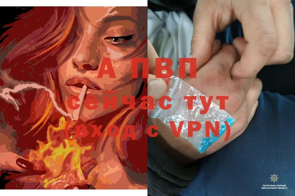 марки nbome Дмитриев