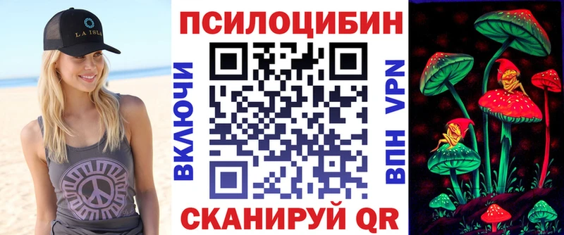 Псилоцибиновые грибы Psilocybe  Ельня 
